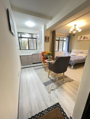 Comfy Inn Apartment